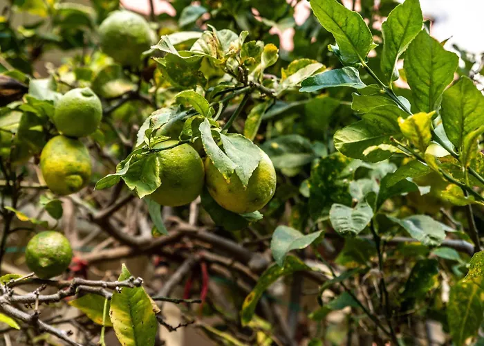 Andalusian Sun Villa With Private Pool & Bbq - Eaw Homes